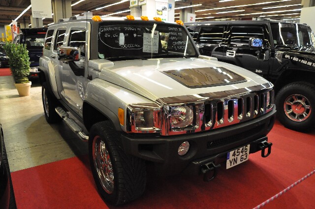 min 2008 10 13 salon auto 278